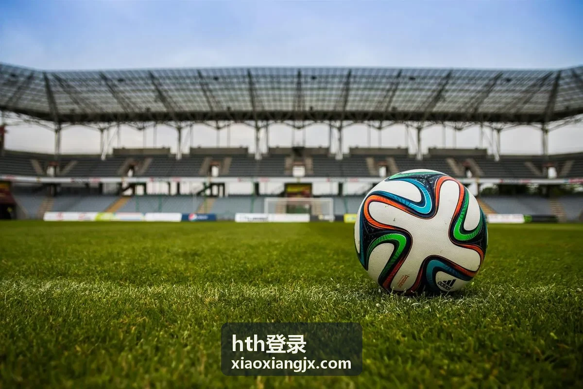 hth登录资讯与洞察栏目配图
